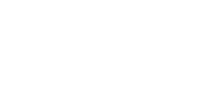 flir